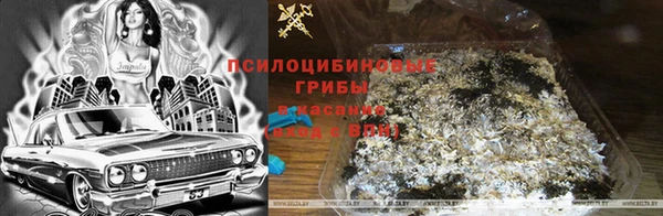экстази Осинники